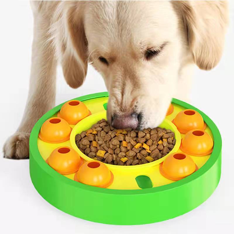 Interactive Dog Puzzle Feeder