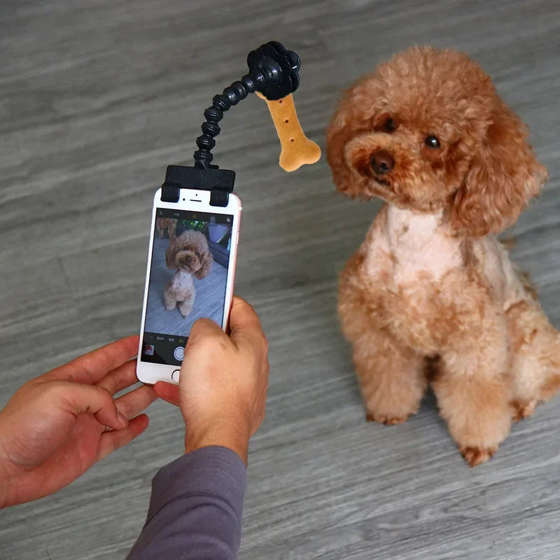 Pet Selfie Clip