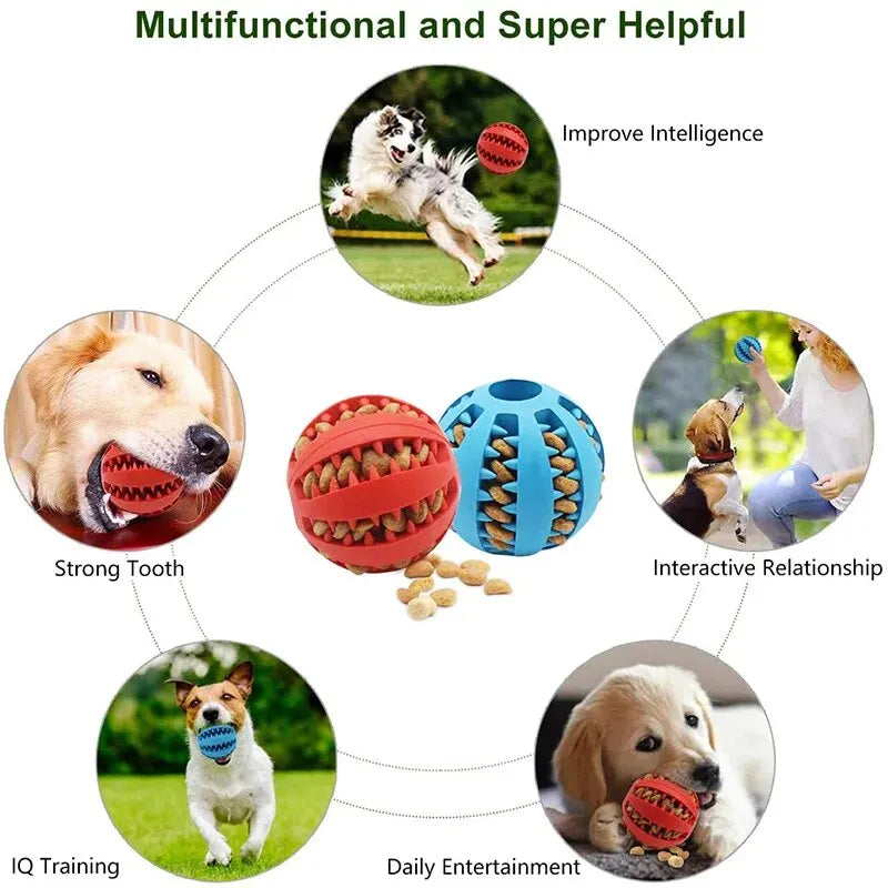 Durable Chew Ball for Dogs with Treat Dispenser