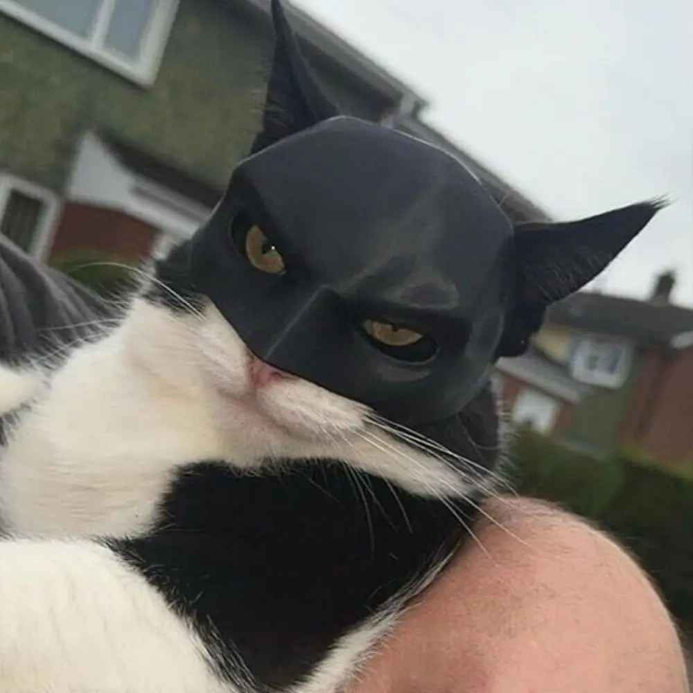 Cat Bat Mask Superhero Costume