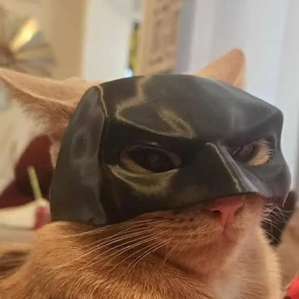 Cat Bat Mask Superhero Costume