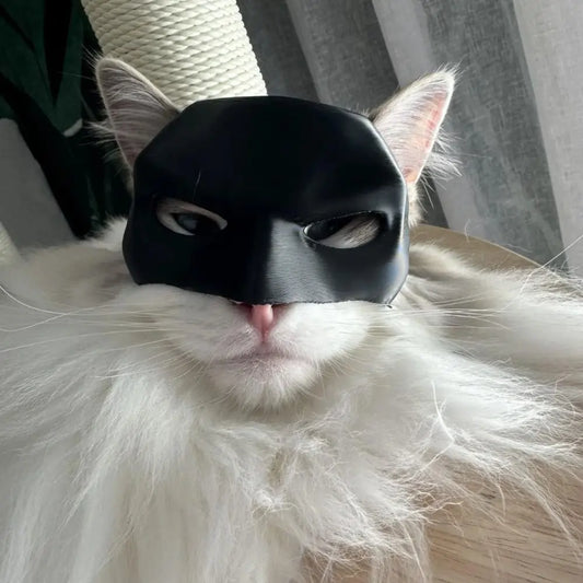 Cat Bat Mask Superhero Costume