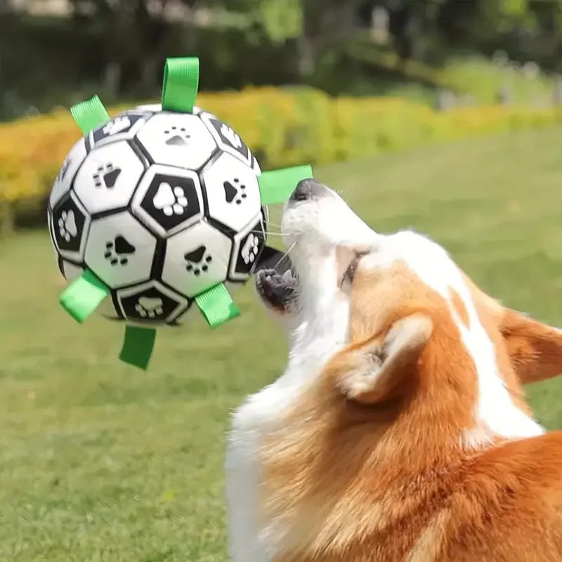 Chewable Football Design Pet Toy