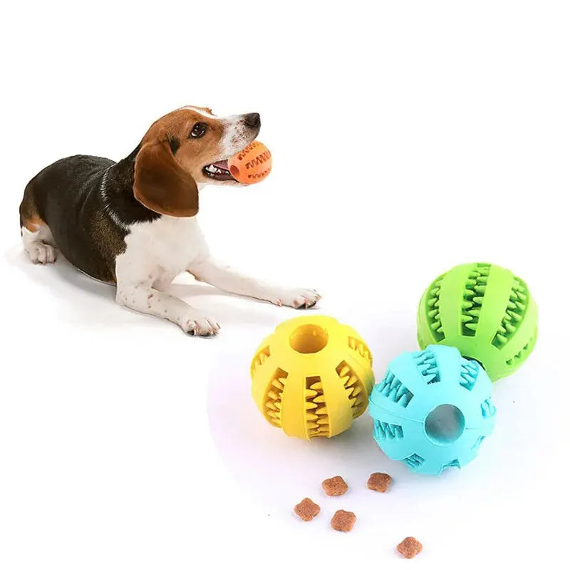 Durable Chew Ball for Dogs with Treat Dispenser